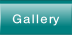 Gallery.